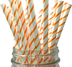 Paper Straw