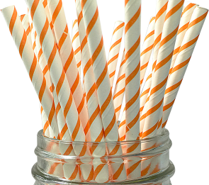 Paper Straw