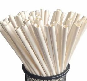 Regular Paper Straw