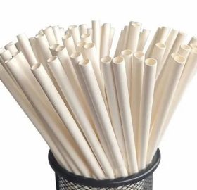 Regular Paper Straw